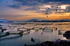 揭阳伴游中国网景点丰富(旅游网介绍)