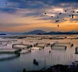 揭阳伴游中国网景点丰富(旅游网介绍)