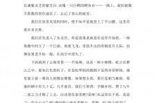 揭阳旅游感想(张家界旅游感想)