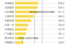 揭阳关于伴游小丽中国足球的信息