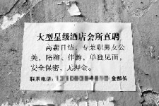 揭阳珠海伴游雇用网(珠海游览社雇用信息)
