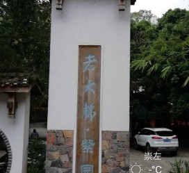 揭阳关于伴游中国伴游你们伴得是什么游的信息