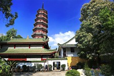 揭阳广州自由行(广州 自由行)