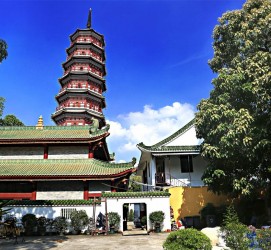 揭阳广州自由行(广州 自由行)