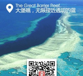 揭阳中国250家旅行社结伴游新西兰(新西兰当地旅行社)