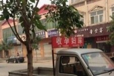 揭阳上海伴游 用伴游造句大全(5