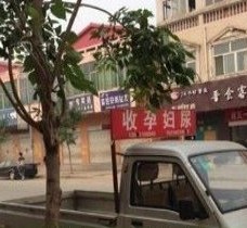 揭阳上海伴游 用伴游造句大全(5