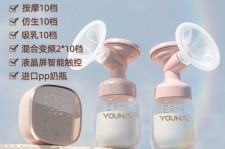 揭阳奶模(奶模型)