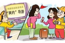 揭阳伴游是什么