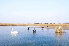揭阳南昌附近伴游小妹兼职(1534939978姐的微信德惠市)