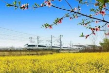 揭阳高铁游(高铁游戏下载手机版)