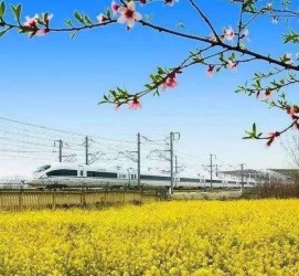 揭阳高铁游(高铁游戏下载手机版)