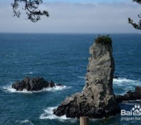 揭阳旅游全攻略(上海旅游全攻略)
