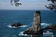 揭阳旅游全攻略(上海旅游全攻略)