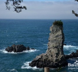 揭阳旅游全攻略(上海旅游全攻略)