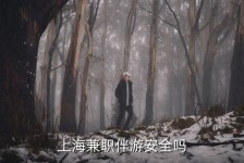 揭阳上海私人伴游 上海伴游，上海兼职伴游安全吗
