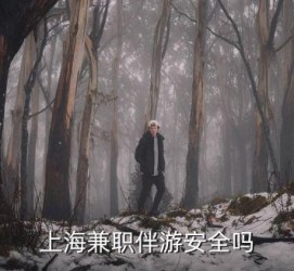 揭阳上海私人伴游 上海伴游，上海兼职伴游安全吗