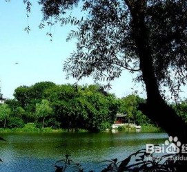 揭阳西湖旅游攻略(上海到杭州西湖旅游攻略)