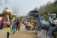 揭阳中国伴游带你打卡网红南山竹海(南山竹海网上预约)