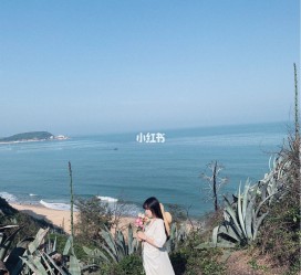 揭阳厦门周边游(厦门及周边旅游攻略)