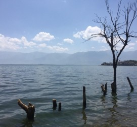 揭阳洱海旅游攻略(洱海旅游攻略自由行)