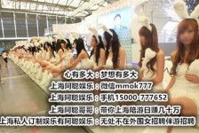 揭阳雇用旅游男伴游(北京商务酒店雇用伴游)