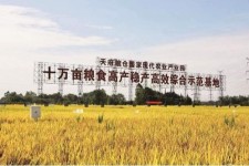 揭阳关于成都商务伴游外围雇用的信息