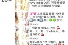 揭阳外围伴游雇用圈套(雇用伴游什么样子的是实的)