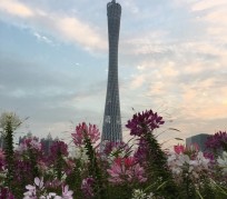 揭阳广州旅游攻略(杭州到广州旅游攻略)
