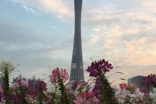 揭阳广州旅游攻略(杭州到广州旅游攻略)