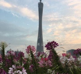 揭阳广州旅游攻略(杭州到广州旅游攻略)