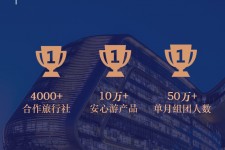 揭阳上海私人伴游 ​ “小而美”的新时代：2020年国内新跟团消费报告