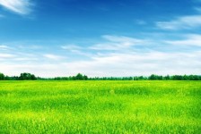 揭阳上海伴游 上海模特伴游微信号的交友宣言