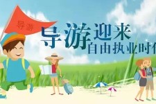 揭阳私人伴游 “网约导游”到底是正流行 还是不热闹