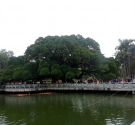 揭阳福州旅游攻略(福州旅游攻略二日游)