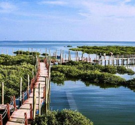 揭阳旅游哪里好玩(云南旅游哪里好玩)