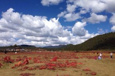揭阳旅游去处(暑期最好的旅游去处)