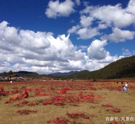 揭阳旅游去处(暑期最好的旅游去处)