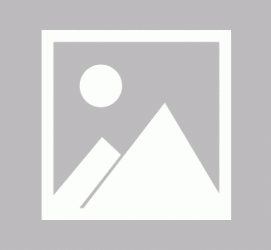 揭阳私人伴游 黄金周里动“黄”经 天津又现“私人陪游”逆流