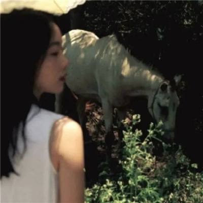 揭阳私家伴游让你拥有一次完美的旅游体验